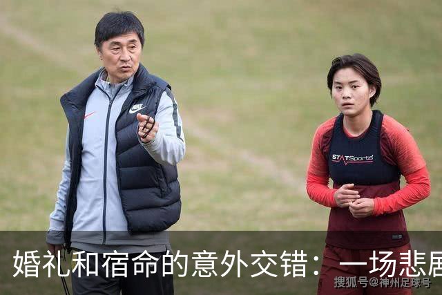 婚礼和宿命的意外交错：一场悲剧的探寻之旅