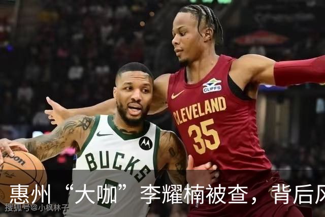惠州“大咖”李耀楠被查，背后风波真不是盖的！