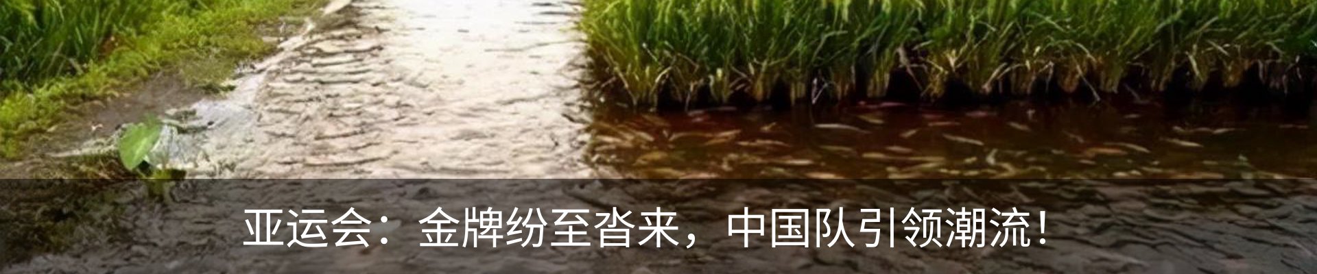 新闻中心