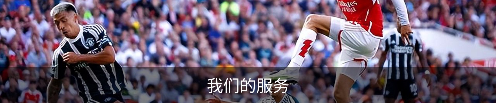 我们的服务