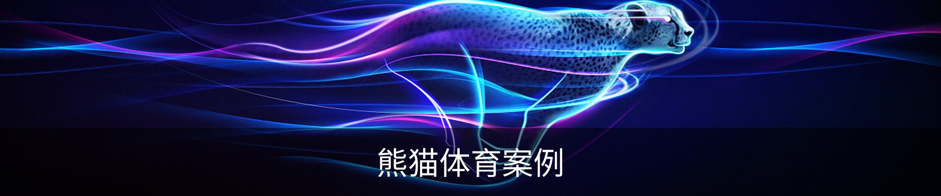 熊猫体育案例